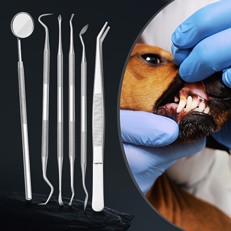 개와 고양이를 위한 6개입 사운드웨이브 치석 제거제 | - Teeth Whitening Mouthwash 리뷰 및 가격