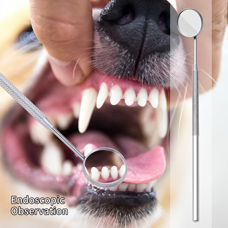 개와 고양이를 위한 6개입 사운드웨이브 치석 제거제 | - Teeth Whitening Mouthwash 리뷰 및 가격