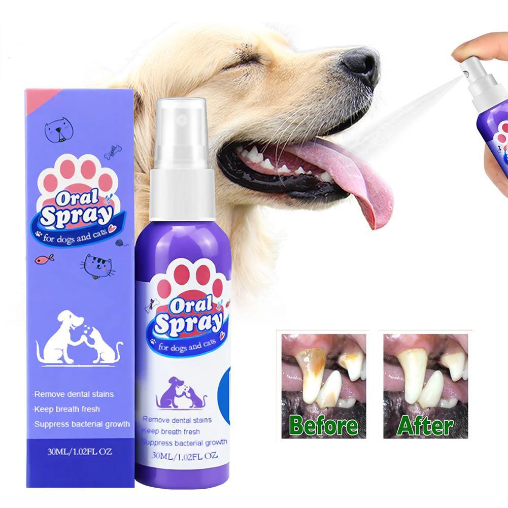 반려동물용 구강 스프레이, 상쾌한 입 냄새와 치아 세정 - Teeth Whitening Mouthwash 리뷰 및 가격
