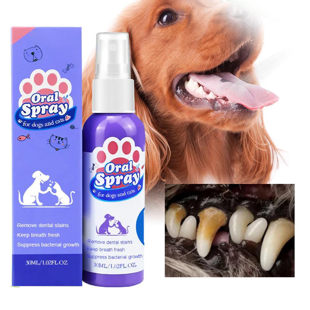 반려동물용 구강 스프레이, 상쾌한 입 냄새와 치아 세정 - Teeth Whitening Mouthwash 리뷰 및 가격