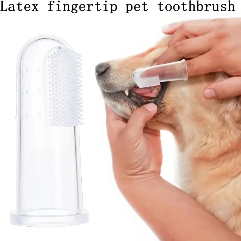 초극세사 애완동물 손가락 칫솔 테디 강아지 브러쉬 구취 - Teeth Whitening Mouthwash 리뷰 및 가격