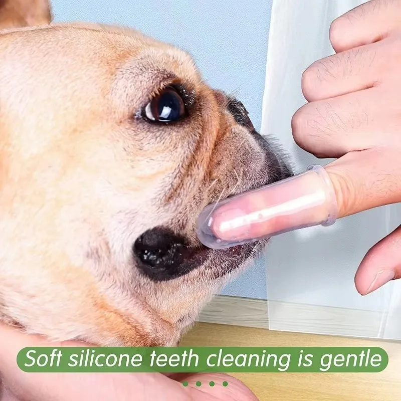 초극세사 애완동물 손가락 칫솔 테디 강아지 브러쉬 구취 - Teeth Whitening Mouthwash 리뷰 및 가격