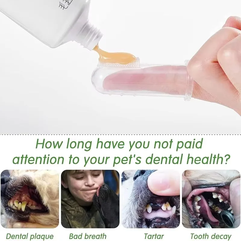 초극세사 애완동물 손가락 칫솔 테디 강아지 브러쉬 구취 - Teeth Whitening Mouthwash 리뷰 및 가격