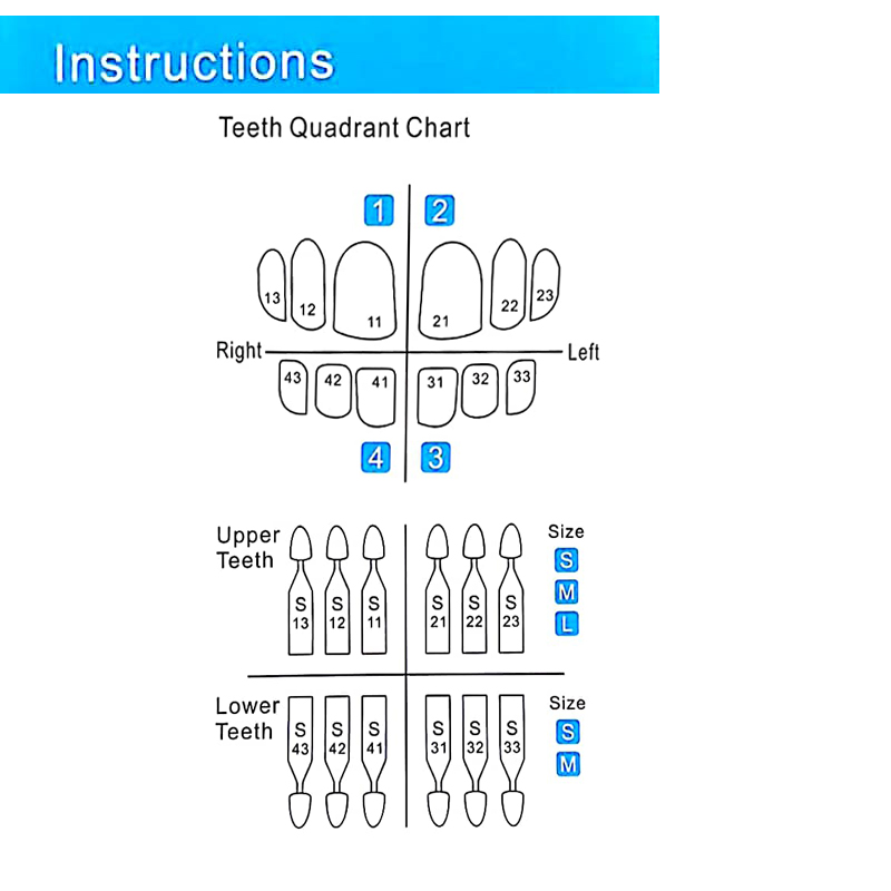 멸균 가능한 치과용 베니어 몰드, 앞니 미용 베니어,  - Teeth Whitening Moulds 리뷰 및 가격