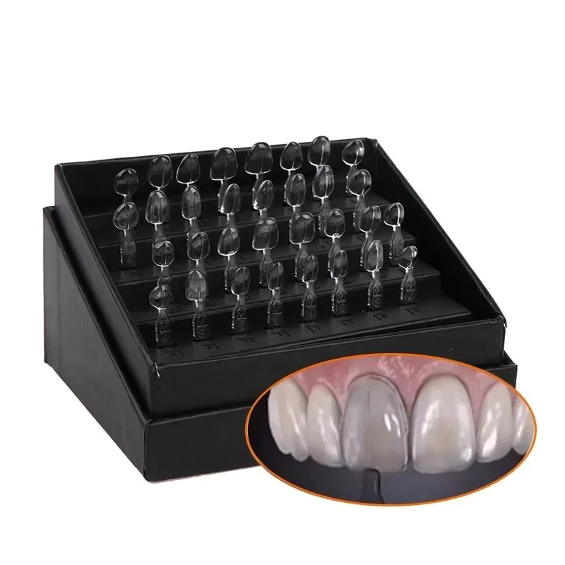 32개 치과용 베니어 몰드 키트 복합 레진 몰드 광중합 - Teeth Whitening Moulds 리뷰 및 가격